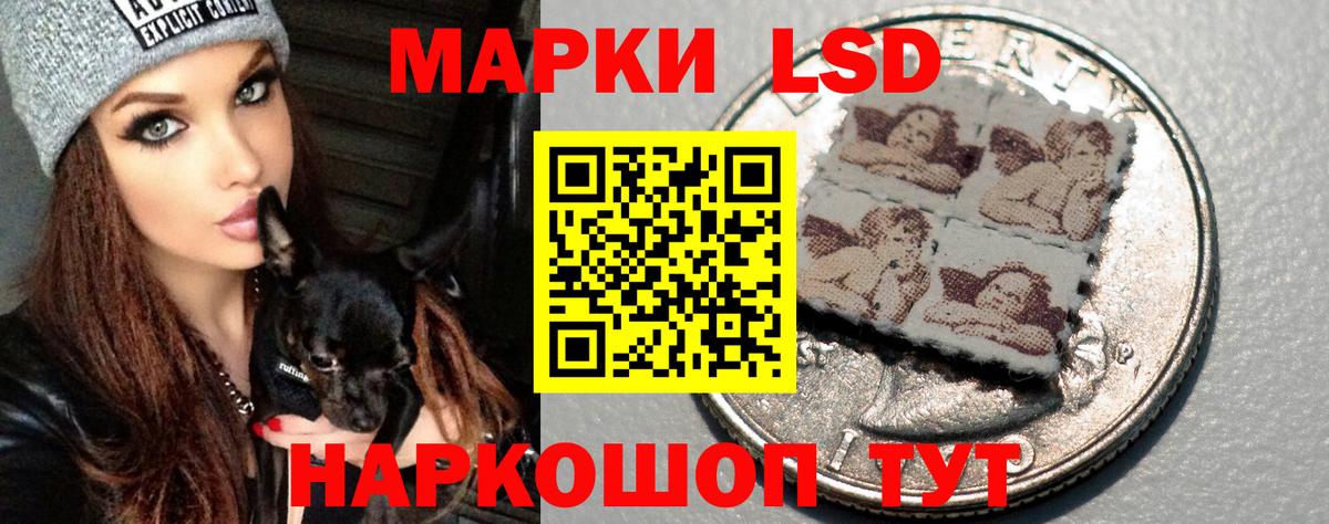 Россия  Лсд 25 экстази кислота  Вход с VPN 