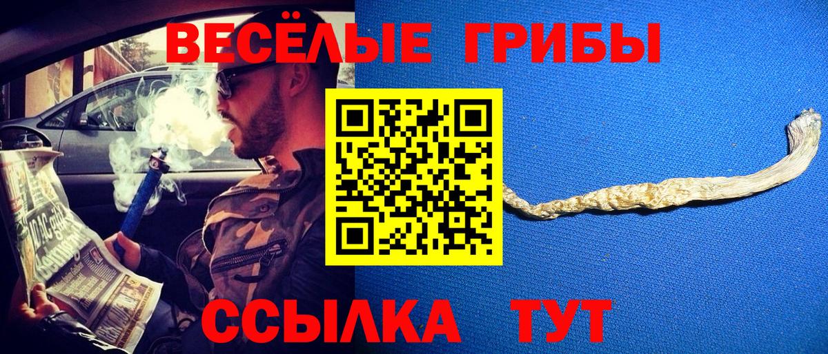 Псилоцибиновые грибы мицелий Россия
